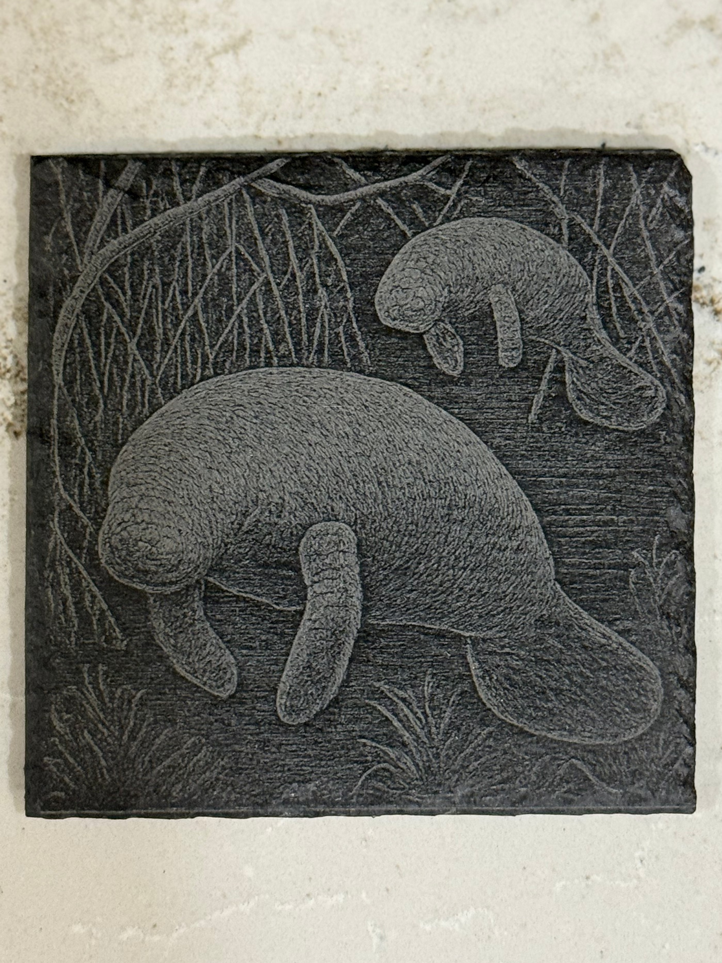 Carved stone plaque with two manatees in a natural setting on a textured surface.